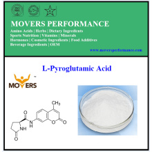 Hohe Qualität L-Pyroglutaminsäure CAS #: 98-79-3